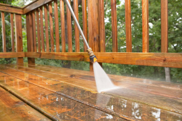 Animal Enclosure Cleaning in Liberty, MO